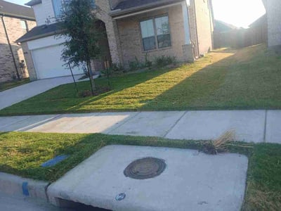 Lawn Care service in Desoto, 75115