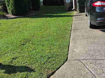 Lawn Care service in Dickson, 37055