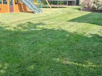 Lawn Care service in Aurora, 60506