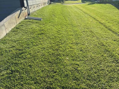 Lawn Care service in Wichita, 67202