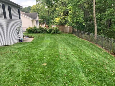 Lawn Care service in Williamstown, 17098