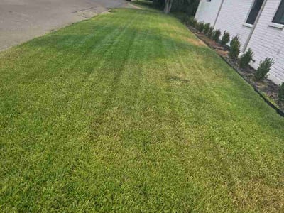Lawn Care service in Roanoke, 76262