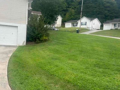 Lawn Care service in Powell, 37849