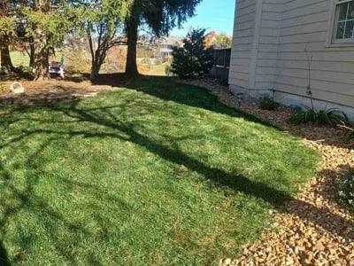 Lawn Care service in Pendleton, 46064