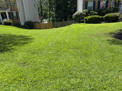 Lawn Care service in Mableton, 30126