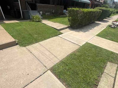 Lawn Care service in Ford City, 16226