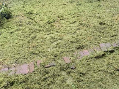 Lawn Care service in Ford City, 16226
