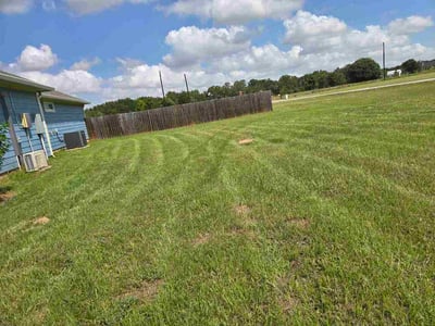 Lawn Care service in Elgin, 78621