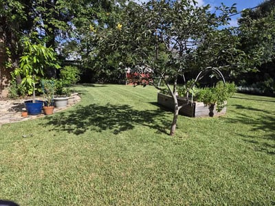 Lawn Care service in Elgin, 78621