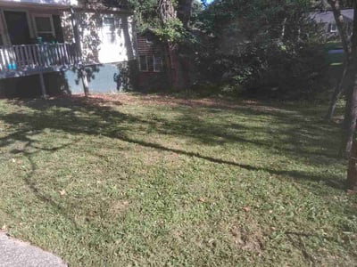 Lawn Care service in Forest Park, 30297
