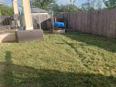 Lawn Care service in Elgin, 78621
