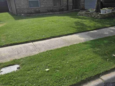 Lawn Care service in Carrollton, 75006
