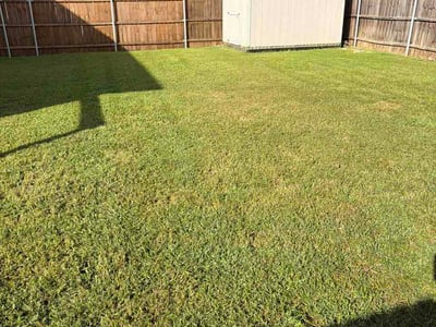 Lawn Care service in Elgin, 78621