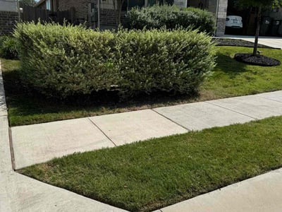 Lawn Care service in Elgin, 78621