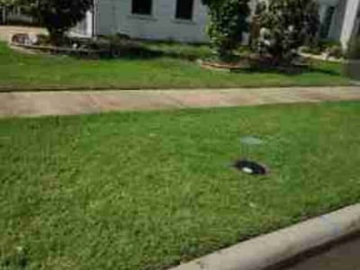 Lawn Care service in Little Elm, 75068