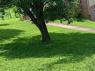 Lawn Care service in Goodlettsville, 37072