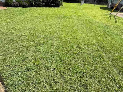 Lawn Care service in Goodlettsville, 37072