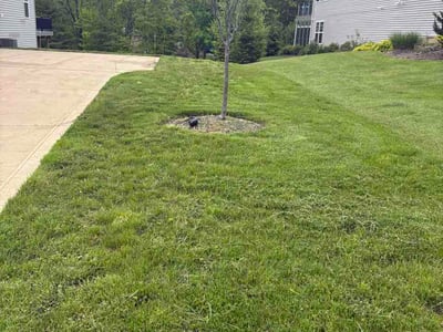 Lawn Care service in Bedford, 44146