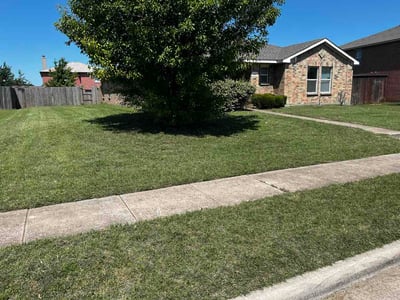 Lawn Care service in Cedar Hill, 75104