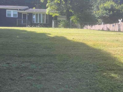 Lawn Care service in La Follette, 37766