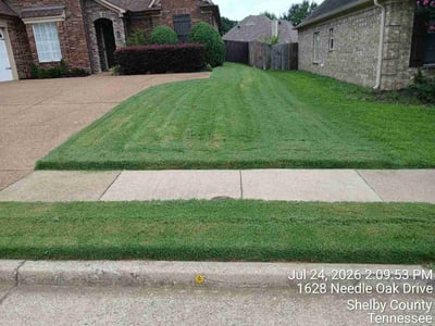 Lawn Care service in Cordova, 38018