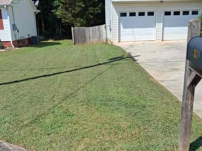 Lawn Care service in Villa Rica, 30180