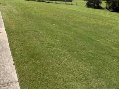Lawn Care service in Villa Rica, 30180