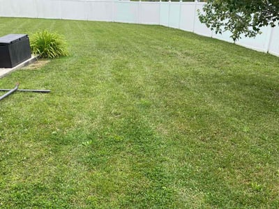 Lawn Care service in College Park, 20742