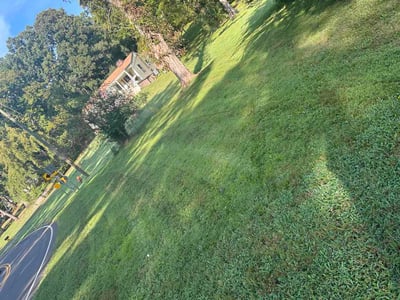 Lawn Care service in Antioch, 37013