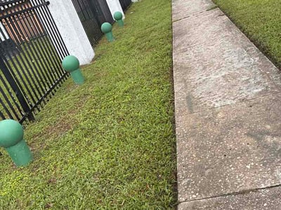 Lawn Care service in Maitland, 32751