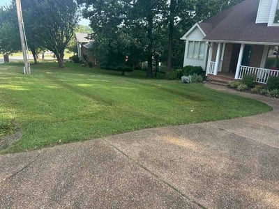Lawn Care service in Lebanon, 37087
