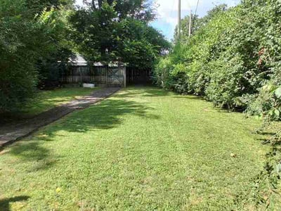 Lawn Care service in Lebanon, 37087