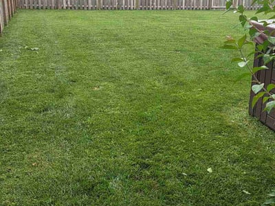 Lawn Care service in Brownsburg, 46112