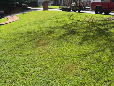 Lawn Care service in Roswell, 30075