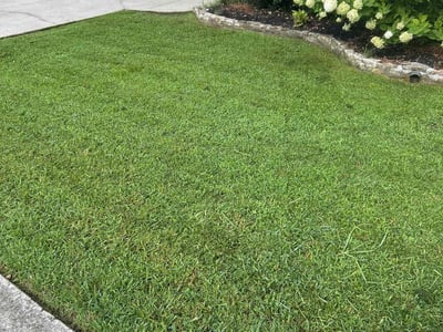 Lawn Care service in Chattanooga, 37402