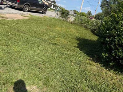 Lawn Care service in Chattanooga, 37402
