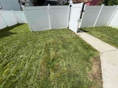 Lawn Care service in Ross Township, 15237