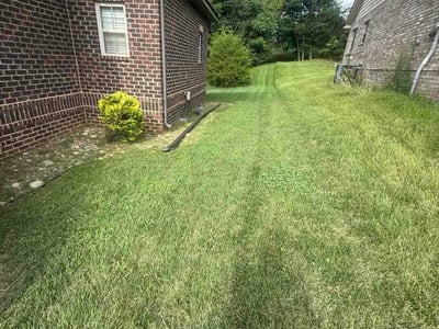 Lawn Care service in Lenoir City, 37771
