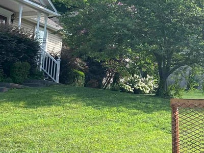 Lawn Care service in Lenoir City, 37771