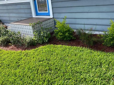 Lawn Care service in Tampa, 33602