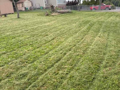 Lawn Care service in McKees Rocks, 15136