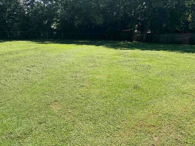 Lawn Care service in Franklin, 37064