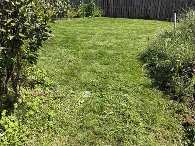 Lawn Care service in Orient, 43146
