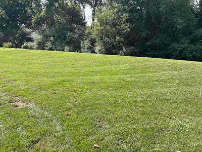 Lawn Care service in Franklin, 37064