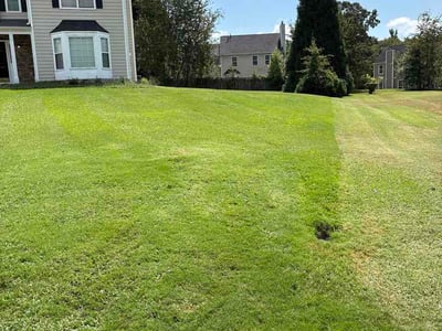Lawn Care service in Powder Springs, 30127