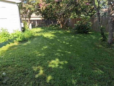 Lawn Care service in Bartlett, 38134