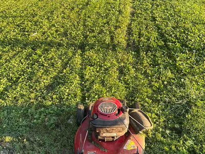 Lawn Care service in Monroeville, 15146