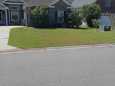 Lawn Care service in Longs, 29568