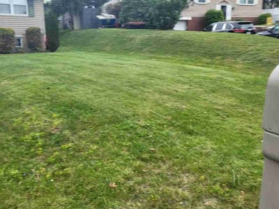 Lawn Care service in Monroeville, 15146