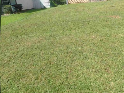 Lawn Care service in Stone Mountain, 30083